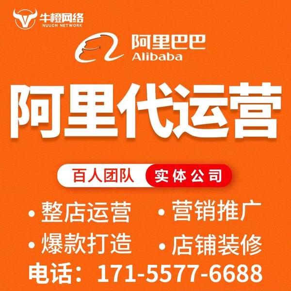 陇南电商代运营