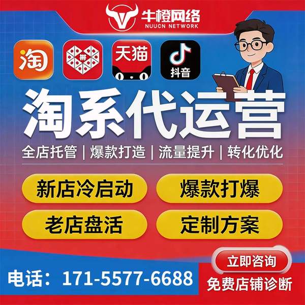 陇南电商代运营