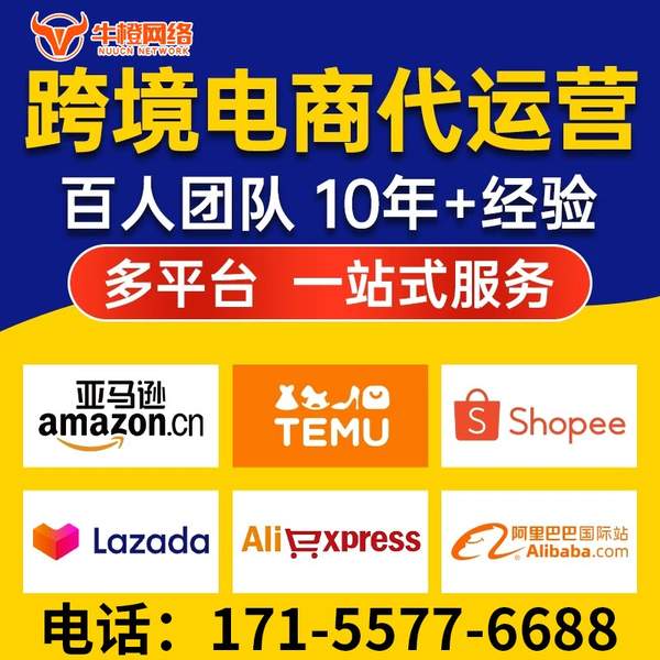 陇南电商代运营