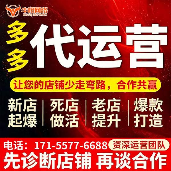 陇南电商代运营