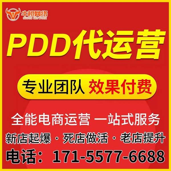 陇南电商代运营
