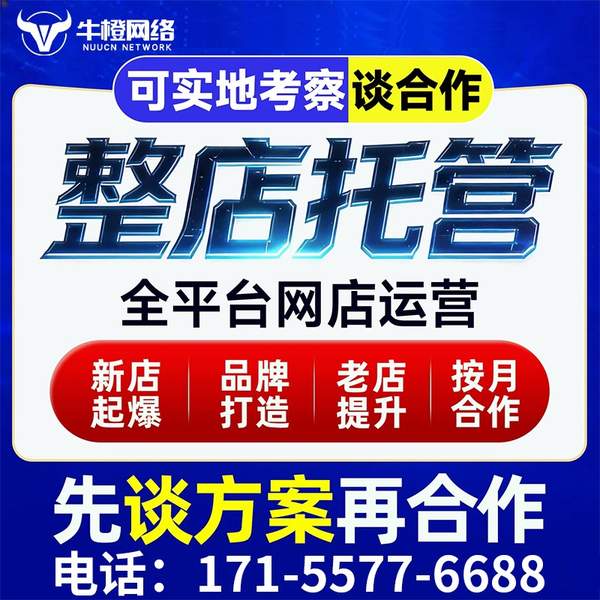 陇南电商代运营