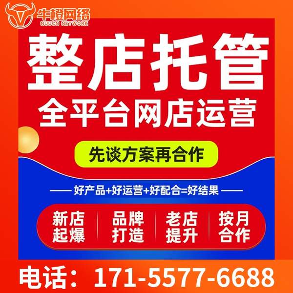 陇南电商代运营