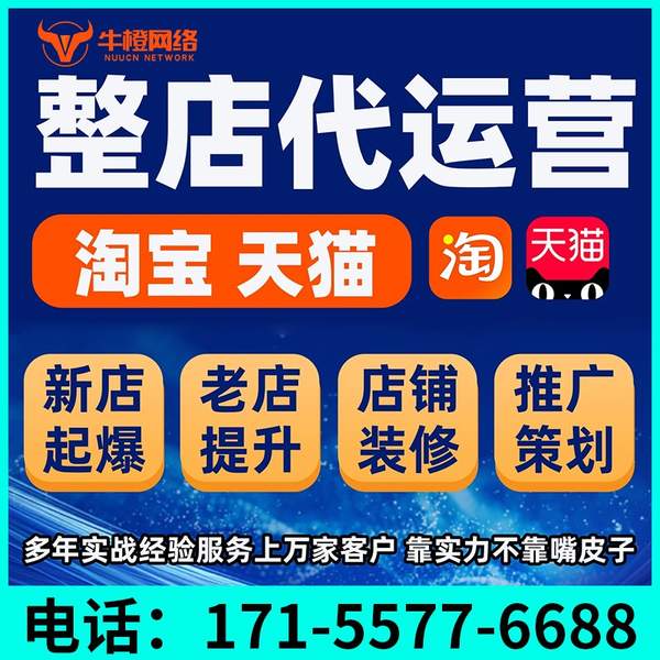 陇南电商代运营