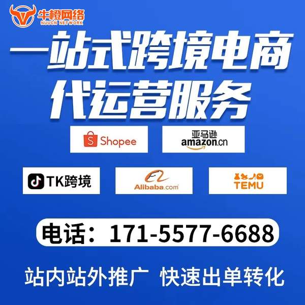陇南电商代运营