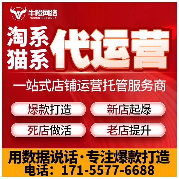 陇南电商代运营